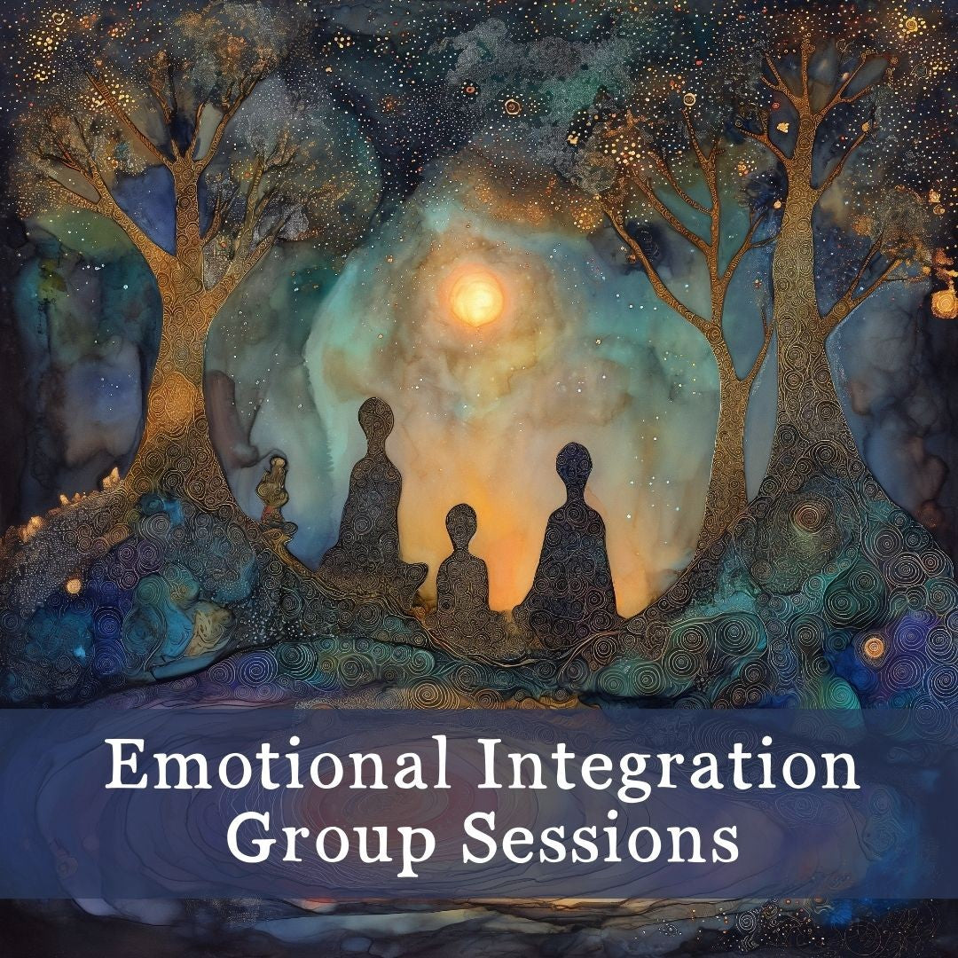 Emotional Integration Group Sessions