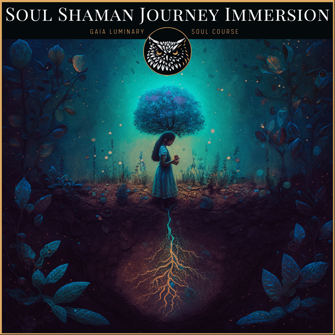 Soul Shaman Meditation Immersion
