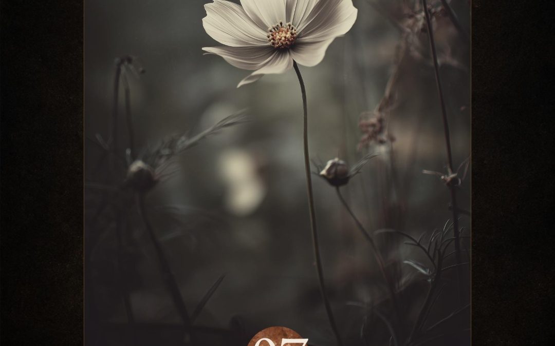 Blooming Expression