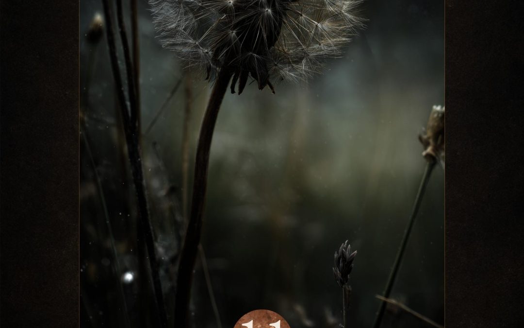 Loosened Hope