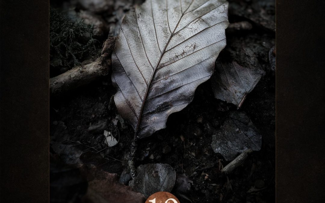 Lingering Memory