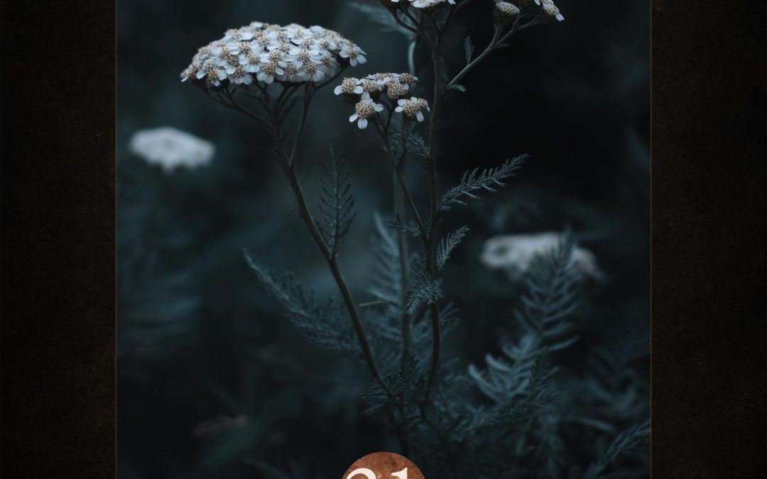 The Mender’s Herb