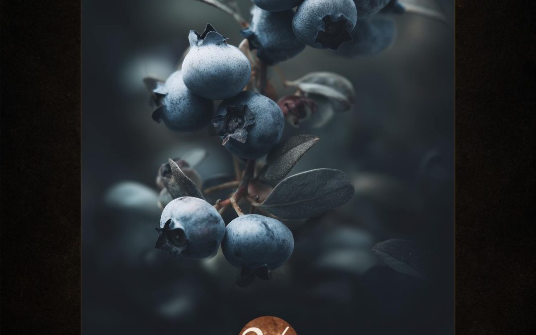 Wild Sweetness