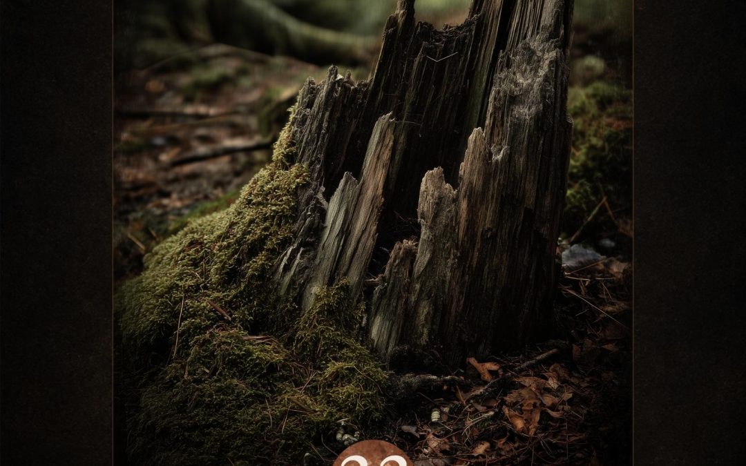 What Remains Rooted