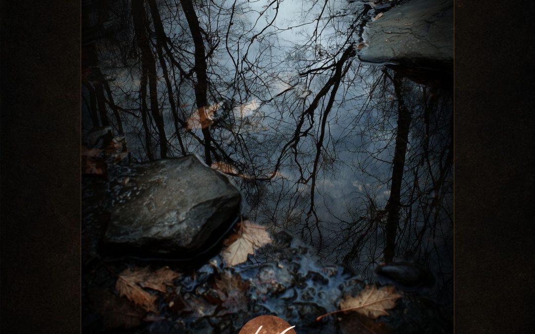 The Reflecting Pool