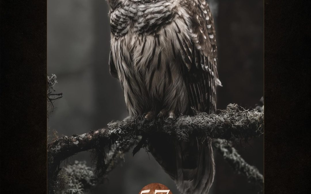 Silent Wing