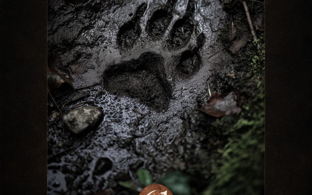 Ancestral Guardian