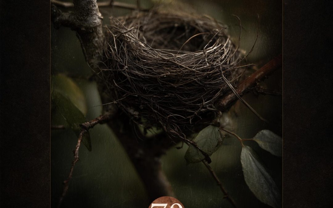 The Nest Left Behind